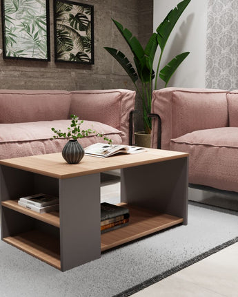 BeanBlend Coffee table engineering wood with storage (Grey and Walnut Finish)